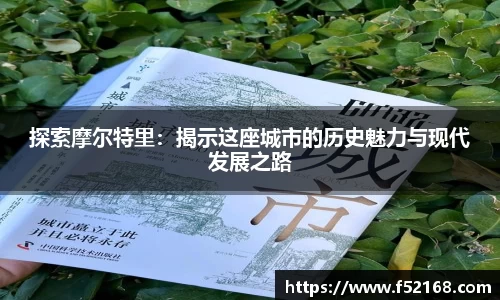 探索摩尔特里：揭示这座城市的历史魅力与现代发展之路