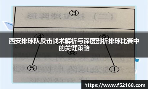 西安排球队反击战术解析与深度剖析排球比赛中的关键策略